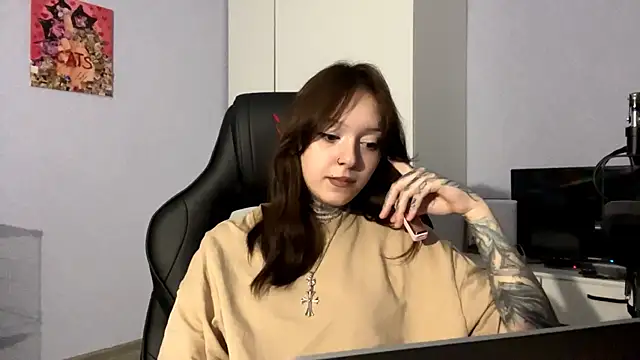 Littleways Webcam show