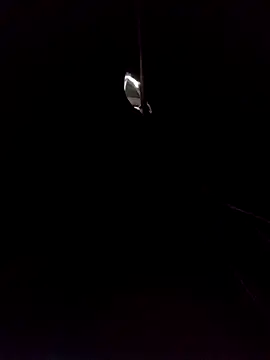 will1980: διαδικτυακό σόου στην κάμερα