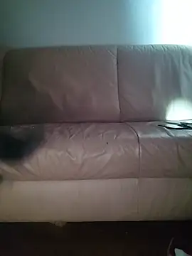 Show de webcam de dongoralesko77