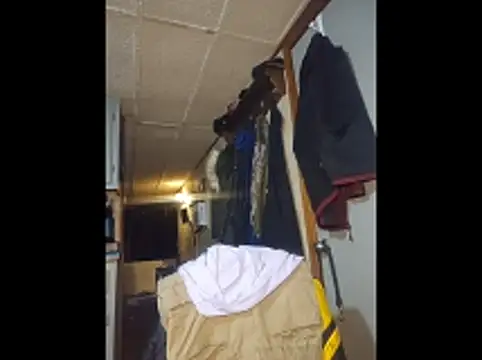 zaneporter46 Chat XXX live