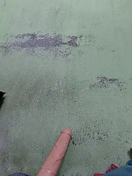 Pertunjukan Kamera Web Tamilselviroja-