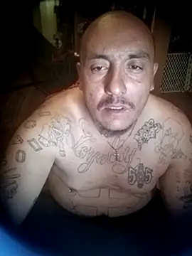 Dick4yourholes' Webcam Show