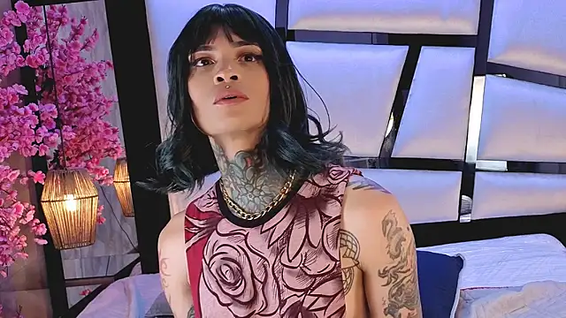 Misakiseis1n Webbikameraesitys