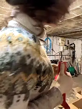 Prxscillia_Tx's Live XXX Chat