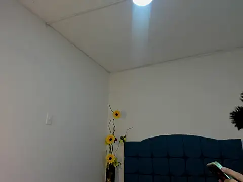 Вебкам-шоу Ailanys_Miller