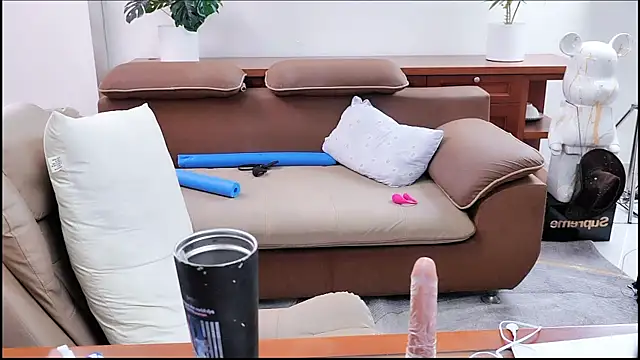 Pitien_2k7のウェブカメラショー