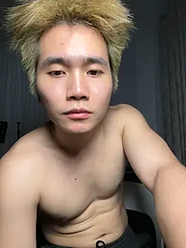 A-Markkn Webbikameraesitys