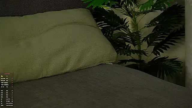 Webkamerová show ClarineCasebolt