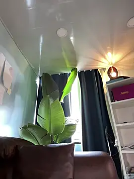 Canneela 现场XXX聊天