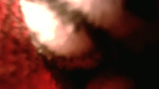 rockhead1971 Show Webcam