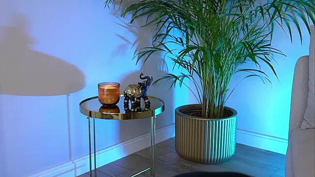 Chat XXX en directo de Tinydoll_XO