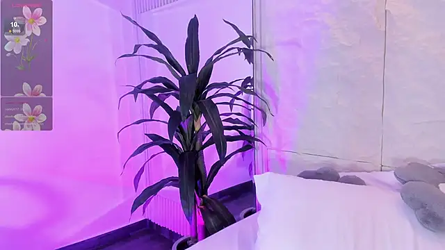 AnahinClar live XXX chat