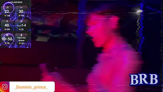 DominicPrince Adlı Modelin Canlı XXX Sohbeti