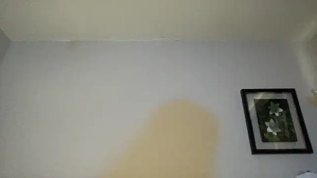 SoyOceanne 웹캠 쇼