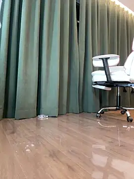 AYW-21 网络视讯表演