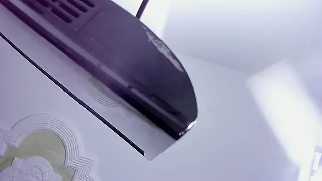 KarlaAndThiago: вебкам-шоу