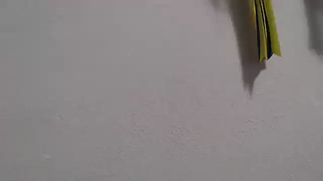 Chat XXX Live delightful_sofi