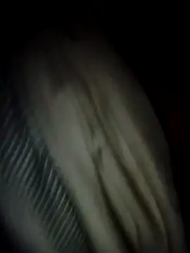 Pertunjukan Kamera Web theboyas