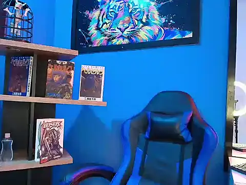 hollannd_ webkamerás műsora