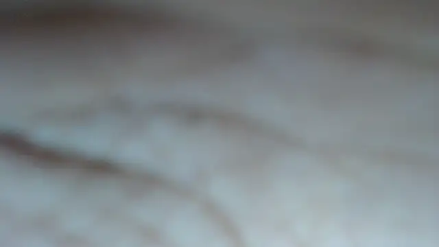 swt_shadow Live XXX-chat