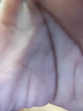 Chat XXX ao vivo de Red_Wine444