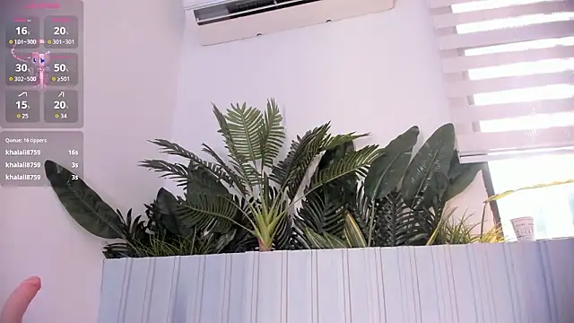 Chat XXX en directo de stephanymonroe