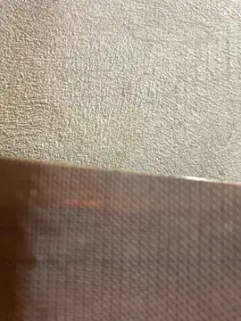 -Mery-のウェブカメラショー