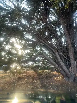 Chat XXX ao vivo de urpuppymoon