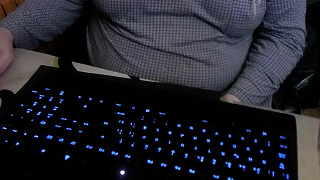 Show webcam de porkorossy