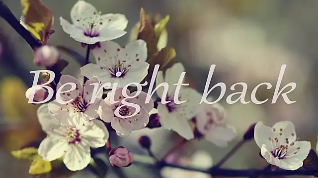 1lindsey1 Chat XXX live