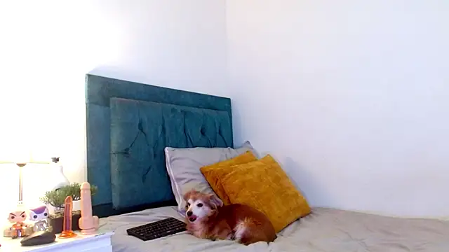 cedrixx10 Obrolan Langsung XXX