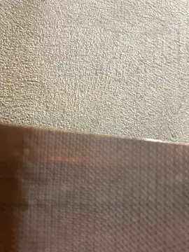 -Mery- 网络视讯表演