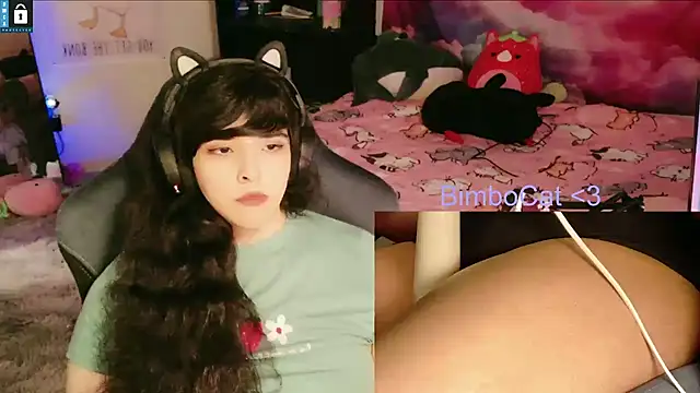 BimboCat's Webcam Show