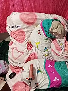 Kaissydoll ওয়েবক্যাম শো