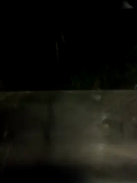 AwaitingCave – webcam-show