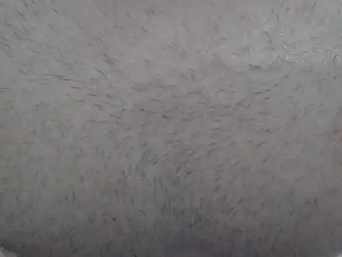 machodotado97: διαδικτυακό σόου στην κάμερα