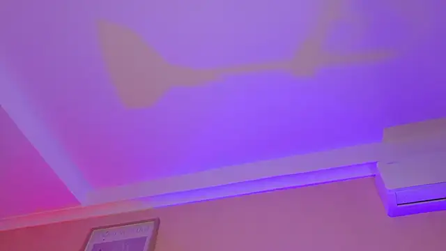 ParisFox_ 现场XXX聊天