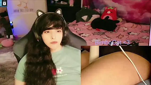 BimboCat Live XXX-chat