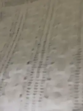 Chatroom XXX en direct de TweetiePieXXX