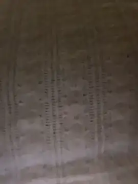 TweetiePieXXX Live XXX-chat