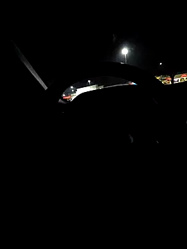 DoggiiDick's Webcam Show