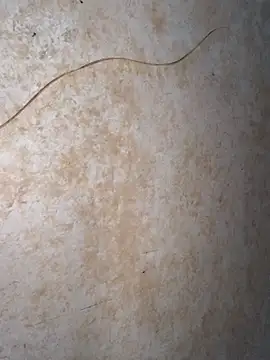 Chat +18 de EmmaRossem ao vivo