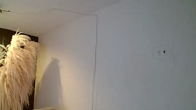 Show modela paisita1609 na web-kameri