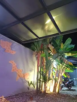 Roma_xxxのライブXXXチャット