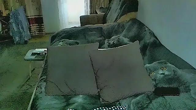 sex2 Chat XXX in diretta