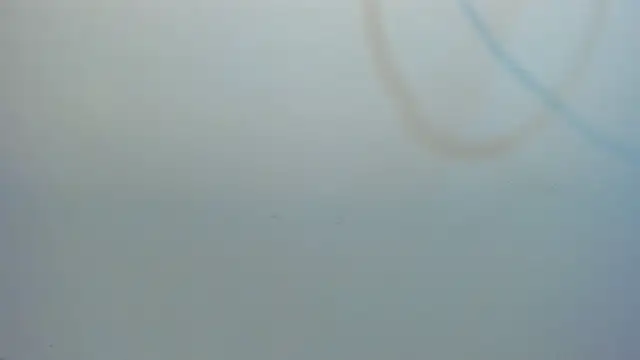 Jacob_Benelli 라이브 XXX 채팅