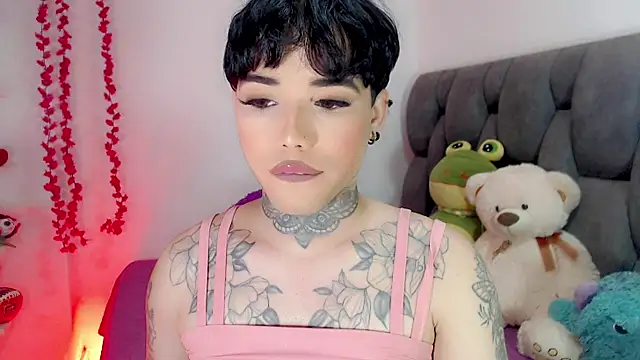 little_star_porn 웹캠 쇼