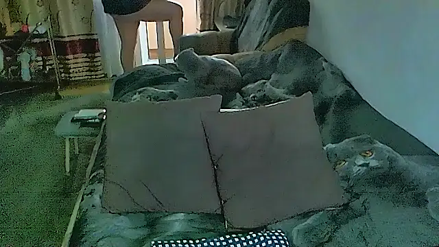 Chatroom XXX en direct de sex2