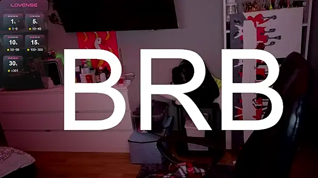 Show webcam de Succubbb