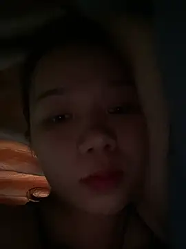 An-An19n Webbikameraesitys